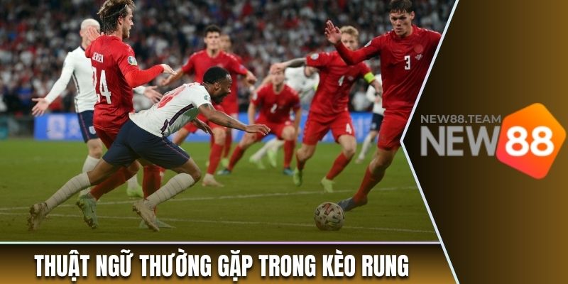 Các thuật ngữ thường bắt gặp trong kèo cược rung