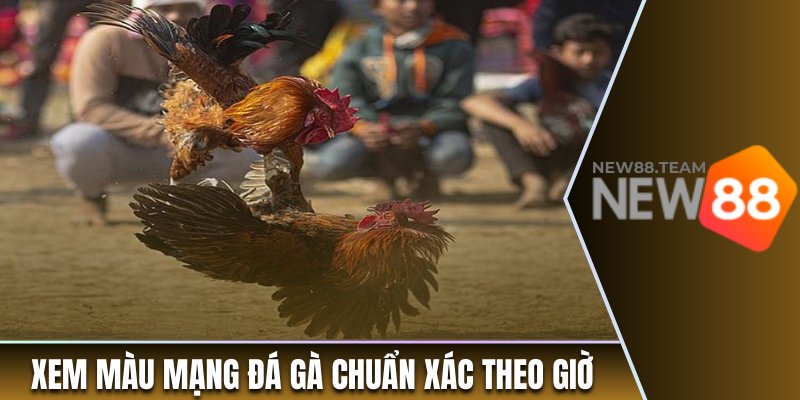 Cách xem màu mạng đá gà chuẩn xác theo giờ