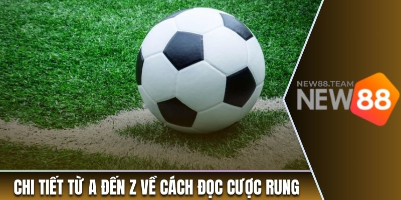 Chi tiết từ A đến Z về cách đọc kèo cược rung